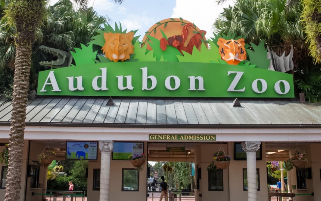 New Orleans Zoo Cancels Police Event After Community Feedback - Todd